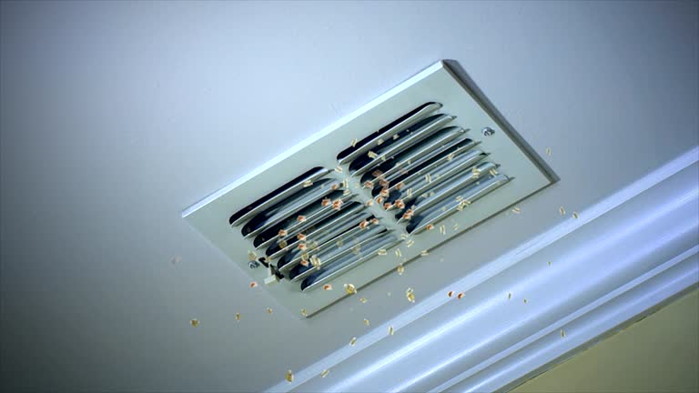Best Local Air Duct Cleaning Services  in Parma, ID