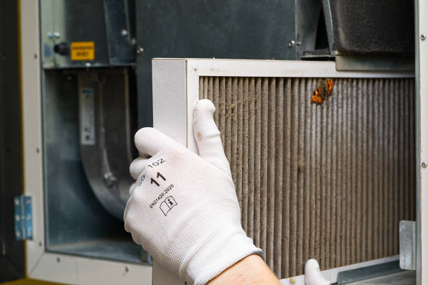 Best Professional Duct Cleaning Services  in Parma, ID